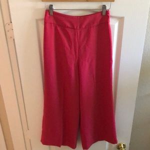 Express High Waisted Cropped Culotte Pant